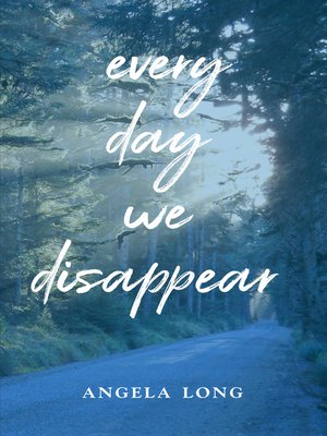 cover image of Every Day We Disappear